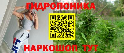 ALPHA PVP Ставрополь