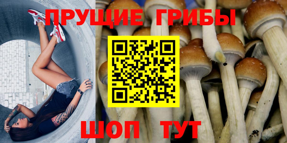 Псилоцибиновые грибы GOLDEN TEACHER Полысаево