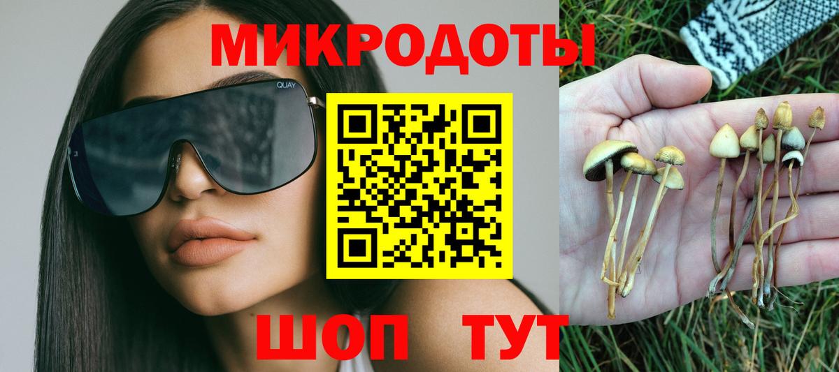 Галлюциногенные грибы прущие грибы  Вход с VPN  Галлюциногенные грибы MAGIC MUSHROOMS  Полысаево 